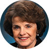 Daine Feinstein